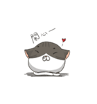A lazy lazy cat（個別スタンプ：37）