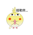 DUDU bird first debut（個別スタンプ：5）