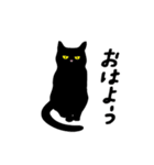 黒猫目線 イラスト編 vol.1（個別スタンプ：5）