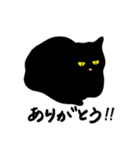 黒猫目線 イラスト編 vol.1（個別スタンプ：13）