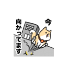 ボルテックスの挨拶スタンプ（個別スタンプ：34）