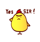 Chicken diary（個別スタンプ：35）