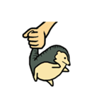 Hello pangolin（個別スタンプ：10）