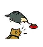Hello pangolin（個別スタンプ：17）
