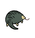 Hello pangolin（個別スタンプ：20）