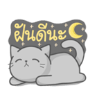 Cat Fullmoon（個別スタンプ：20）