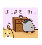 Felicita's cook（個別スタンプ：17）