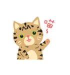 Lettuce's two silly cat（個別スタンプ：3）