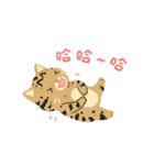 Lettuce's two silly cat（個別スタンプ：6）