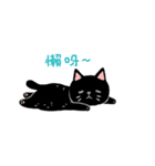 Lettuce's two silly cat（個別スタンプ：18）