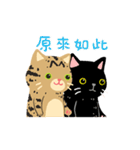 Lettuce's two silly cat（個別スタンプ：21）