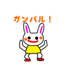 Daily life of the rabbi（個別スタンプ：16）