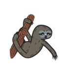 Sloth Bro（個別スタンプ：21）