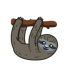 Sloth Bro（個別スタンプ：25）