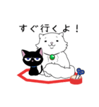 元のらツンと家ねこモフのゆる〜い日常。（個別スタンプ：13）