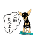 ミニピン エルちゃんとゆかいな仲間たち（個別スタンプ：3）