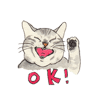 かわいいアメショ猫（個別スタンプ：3）