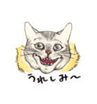 かわいいアメショ猫（個別スタンプ：7）