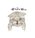 かわいいアメショ猫（個別スタンプ：8）