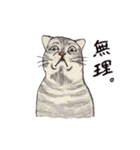 かわいいアメショ猫（個別スタンプ：10）