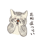 かわいいアメショ猫（個別スタンプ：13）