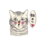 かわいいアメショ猫（個別スタンプ：14）