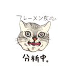 かわいいアメショ猫（個別スタンプ：22）