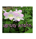 orchids thai2（個別スタンプ：30）