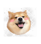 shibainu garlic（個別スタンプ：9）