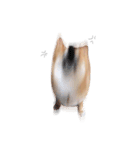 shibainu garlic（個別スタンプ：18）