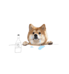 shibainu garlic（個別スタンプ：21）