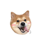 shibainu garlic（個別スタンプ：31）
