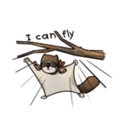 Uncle Bear and Flying Buddy（個別スタンプ：17）