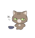 ねこがかいぬしにつかいやすいスタンプ（個別スタンプ：1）