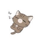 ねこがかいぬしにつかいやすいスタンプ（個別スタンプ：2）