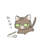 ねこがかいぬしにつかいやすいスタンプ（個別スタンプ：3）