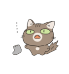 ねこがかいぬしにつかいやすいスタンプ（個別スタンプ：4）