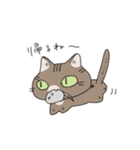ねこがかいぬしにつかいやすいスタンプ（個別スタンプ：7）