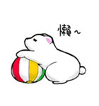 White Bear Jungjung（個別スタンプ：39）