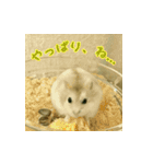ハムスター MY LOVE（個別スタンプ：8）