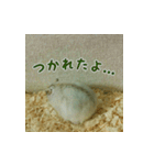 ハムスター MY LOVE（個別スタンプ：9）