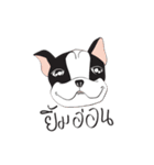 FriendsBulldog（個別スタンプ：2）