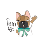 FriendsBulldog（個別スタンプ：7）