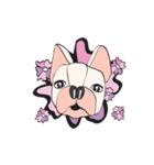 FriendsBulldog（個別スタンプ：8）