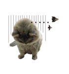 My name is "Bone"（個別スタンプ：3）
