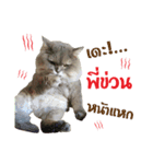 My name is "Bone"（個別スタンプ：4）