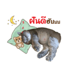 My name is "Bone"（個別スタンプ：14）