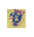 Wanko stamp（個別スタンプ：21）