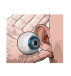 Sensitive Eyeball (J)（個別スタンプ：19）