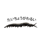 Sleepy Centipede (J)（個別スタンプ：1）